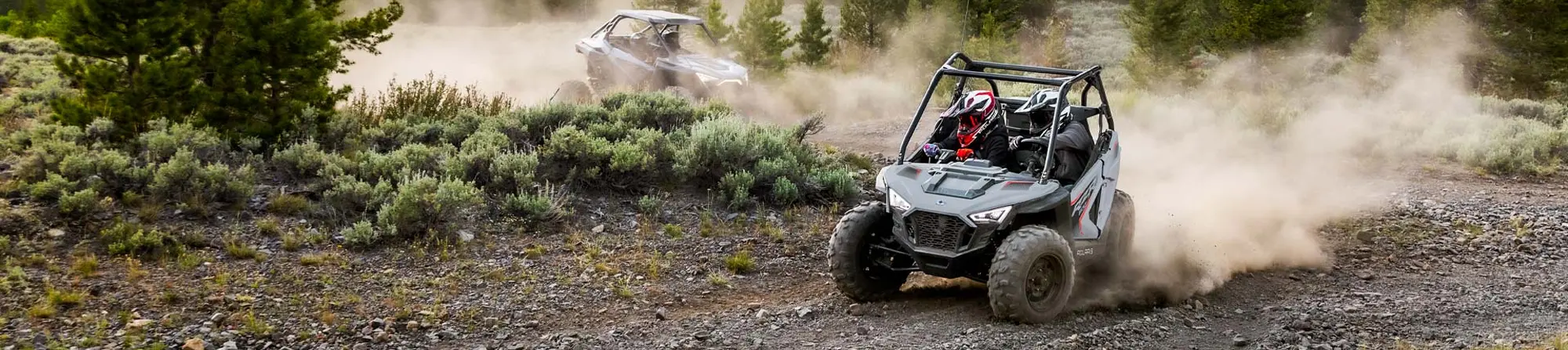 RZR 200 EFI