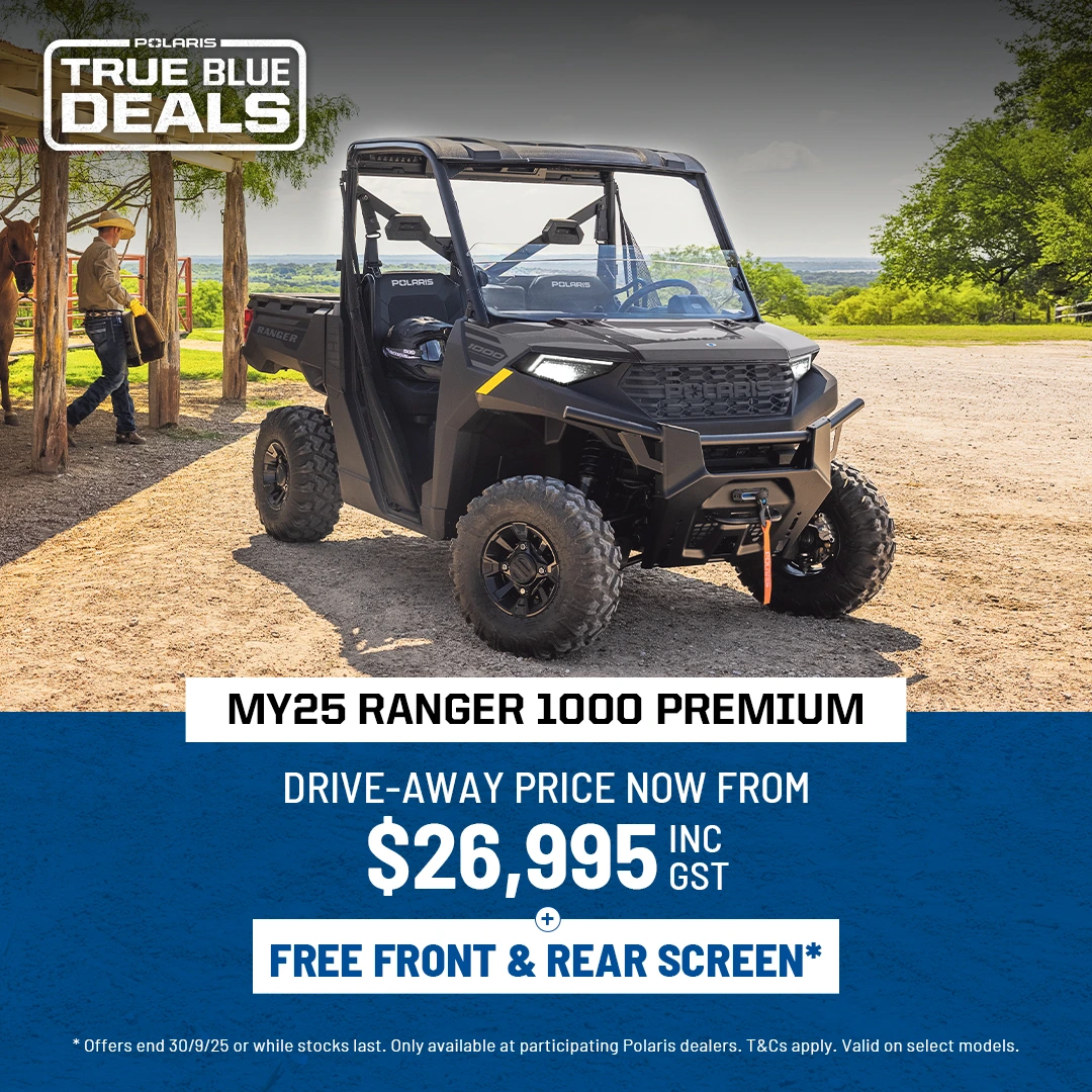 True Blue Deals Premium Polaris